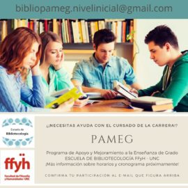 Programa de Apoyo y Mejoramiento a la Enseñanza de Grado