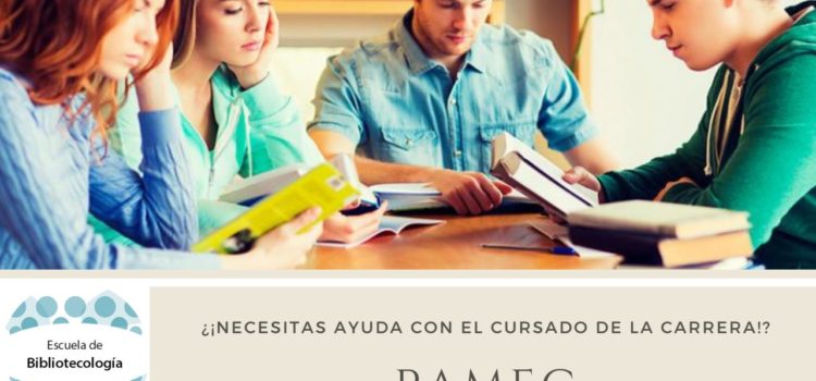 Programa de Apoyo y Mejoramiento a la Enseñanza de Grado