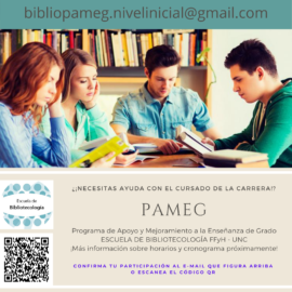 Programa de Apoyo y Mejoramiento a la Enseñanza de Grado