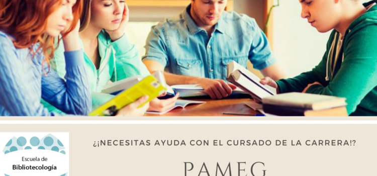 Programa de Apoyo y Mejoramiento a la Enseñanza de Grado