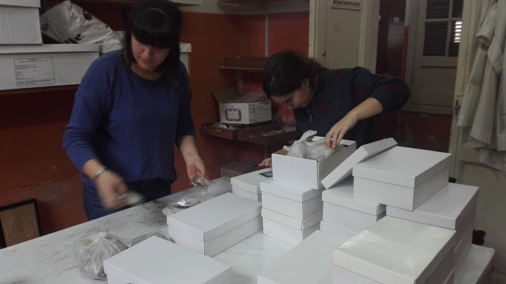 Trabajos de laboratorio