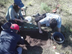 Trabajando