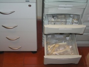 p1010147