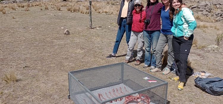 El LaZTA se une al Proyecto Global de Meteorización (Global Weathering Project) El LaZTA se une al Proyecto Global de Meteorización (Global Weathering Project)