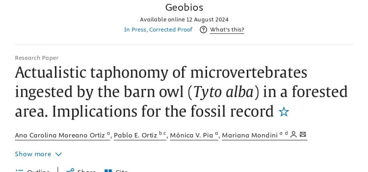 Tafonomía actualística de microvertebrados ingeridos por la lechuza de los campanarios (Tyto alba) en un área boscosa y sus implicancias para el registro fósil. Tafonomía actualística de microvertebrados ingeridos por la lechuza de los campanarios (Tyto alba) en un área boscosa y sus implicancias para el registro fósil.