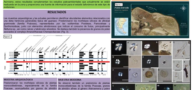Participación en las XII Jornadas de Arqueología de la Patagonia, Río Gallegos 21-25 de octubre de 2024