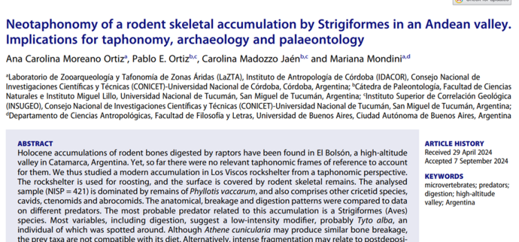 Neotafonomía de una acumulación de restos esqueletales de roedores por Estrigiformes en un valle Andino. Implicancias para la tafonomía, la arqueología y la paleontología Neotafonomía de una acumulación de restos esqueletales de roedores por Estrigiformes en un valle Andino. Implicancias para la tafonomía, la arqueología y la paleontología